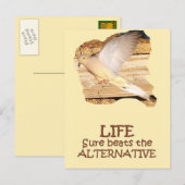 LEBEN - Flying Dove Postkarte (Vorne/Hinten)