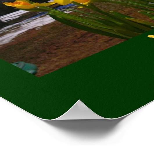 Leben/Frühling feiern Poster (Ecke)