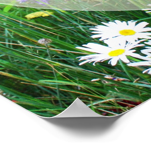 Leben genießen poster (Ecke)