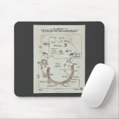 Leben-Geschichte des Malaria-Parasiten Plasmodiume Mousepad (Mit Mouse)