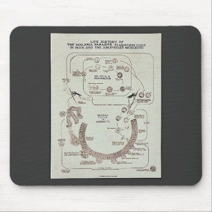 Leben-Geschichte des Malaria-Parasiten Plasmodiume Mousepad