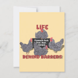 Leben hinter den Stürmen (Barred Plymouth Rock Hen Postkarte