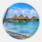 Leben im Wasser Magnet (Vorne)