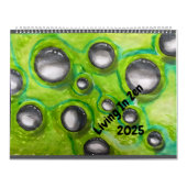 Leben im Zen-Kalender 2025 Kalender (Titelbild)