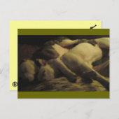 Leben in einem kleinen Paradies Postkarte (Vorne/Hinten)