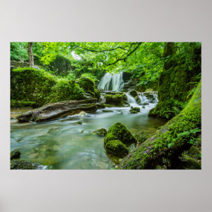 Leben in Harmonie Poster