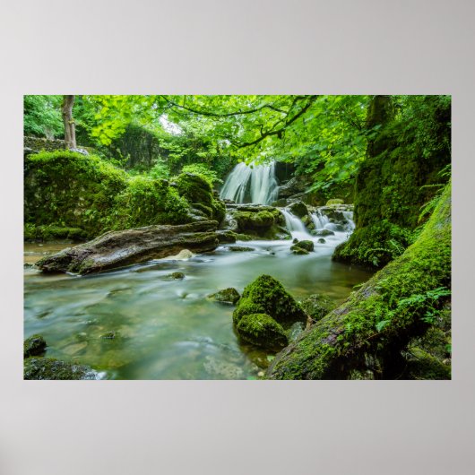 Leben in Harmonie Poster (Vorne)