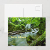 Leben in Harmonie Postkarte (Vorne/Hinten)