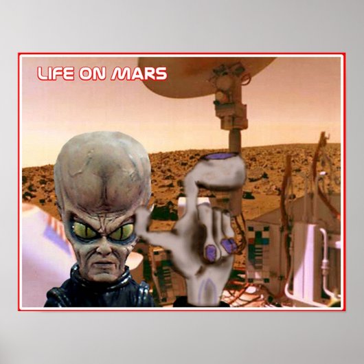 Leben in Mars Poster (Vorne)