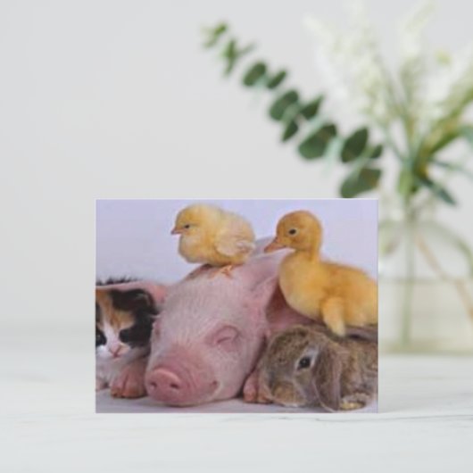 LEBEN IST GUT POSTKARTE (Stehend Vorderseite)