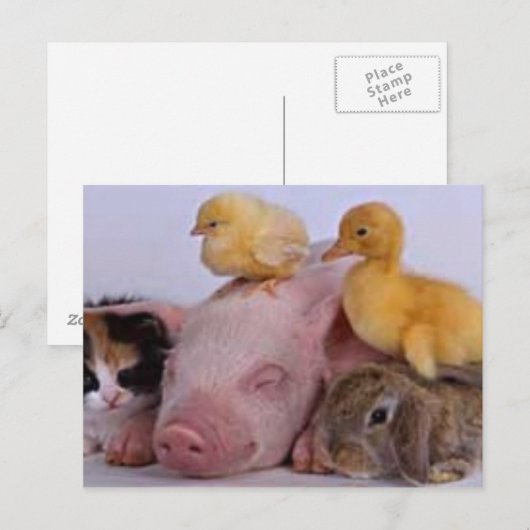 LEBEN IST GUT POSTKARTE (Vorne/Hinten)