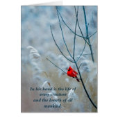 Leben jeder Kreatur - Christliche Weihnachtskarte (Vorne)