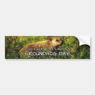Leben jeder Tag, wie es Groundhog Day ist! Autoaufkleber