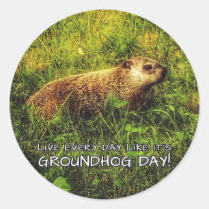 Leben jeder Tag, wie es Groundhog Day ist! Runder Aufkleber