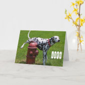 LEBEN KARTE (Gelbe Blume)