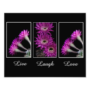 Leben, Lachen, Liebe-Trio der Kakteen-Blume Fotodruck