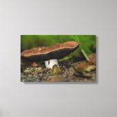 Leben Leinwanddruck (Vorderseite)