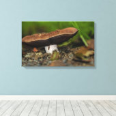 Leben Leinwanddruck (Insitu (Holzboden))