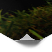 Leben, Liebe, Kick Poster (Ecke)