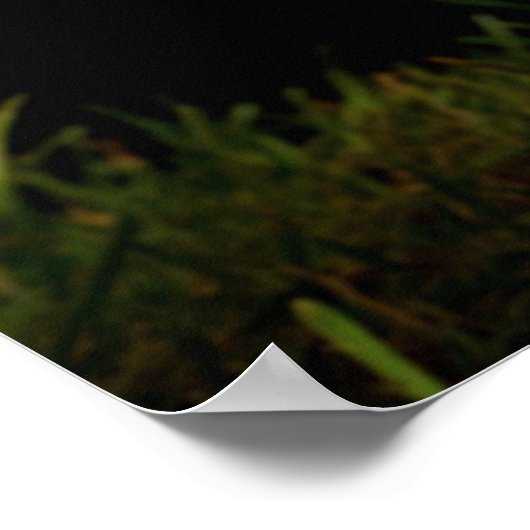 Leben, Liebe, Kick Poster (Ecke)