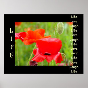 Leben Lieben Lachen Kunstdrucke Rote Mohnblumen Poster