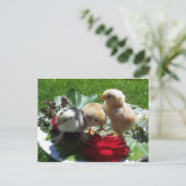 Leben lustige kleine Vögel Postkarte (Stehend Vorderseite)