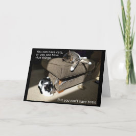 Leben mit Cats Card Karte
