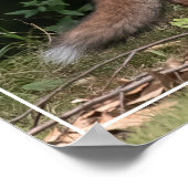 Leben mit Spirit Poster (Ecke)