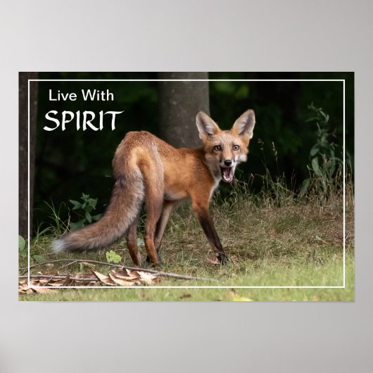 Leben mit Spirit Poster (Vorne)