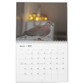 Leben mit Tauben:Kalender 2020 Kalender (Mär 2027)