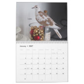 Leben mit Tauben:Kalender 2020 Kalender (Jan 2027)