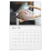 Leben mit Tauben:Kalender 2020 Kalender (Feb 2027)