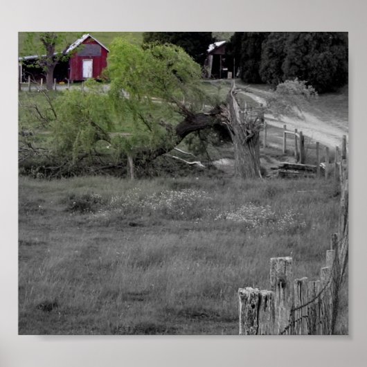 Leben nach Desaster Poster (Vorne)