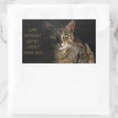 Leben ohne Katzen? Ich glaube nicht, dass das lust Rechteckiger Aufkleber (Tasche)