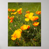 Leben Poster (Vorne)