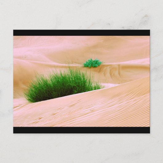 Leben Postkarte (Vorderseite)