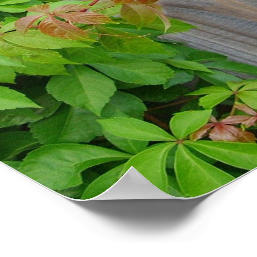 Leben Sie Ihr Leben, Chief Tecumseh Poster (Ecke)