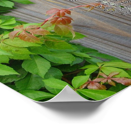 Leben Sie Ihr Leben, Chief Tecumseh Poster (Ecke)