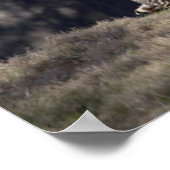 Leben Sie in dem Moment Poster (Ecke)