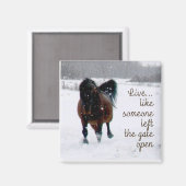 Leben Sie! Magnet (Vorderseite/Rückseite)