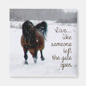 Leben Sie! Magnet (Vorne)