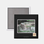 Leben Sie nie wieder in einem Käfig Magnet (Vorderseite/Rückseite)