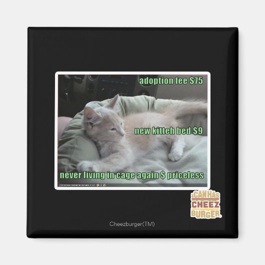 Leben Sie nie wieder in einem Käfig Magnet (Vorne)