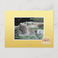 Leben Sie nie wieder in einem Käfig