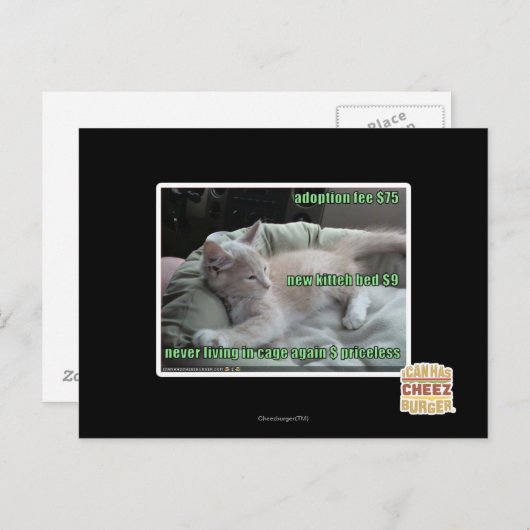 Leben Sie nie wieder in einem Käfig Postkarte (Vorne/Hinten)