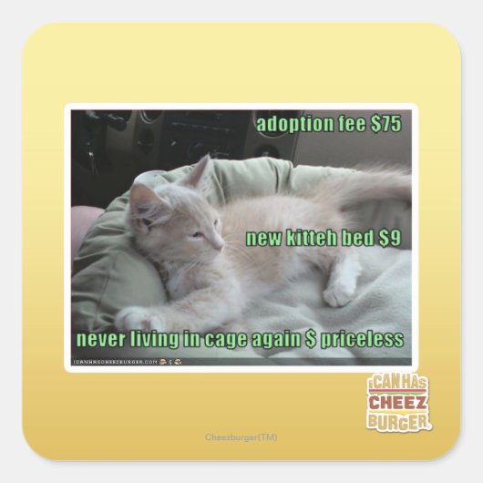 Leben Sie nie wieder in einem Käfig Quadratischer Aufkleber (Vorderseite)