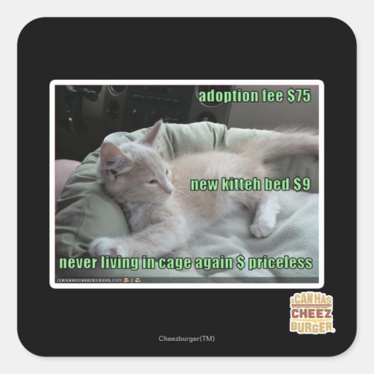 Leben Sie nie wieder in einem Käfig Quadratischer Aufkleber (Vorderseite)