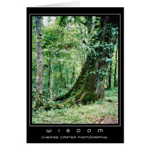 Leben Sie und lernen Sie