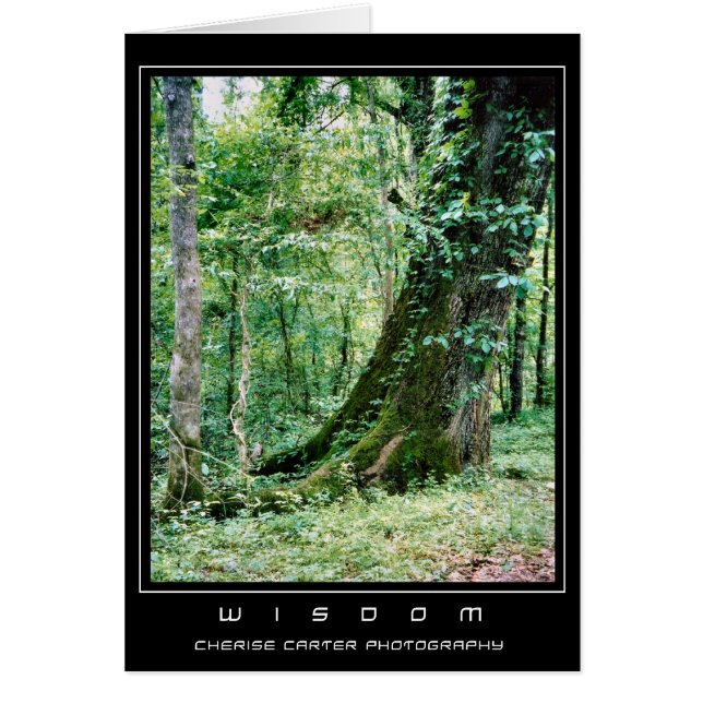 Leben Sie und lernen Sie (Vorne)