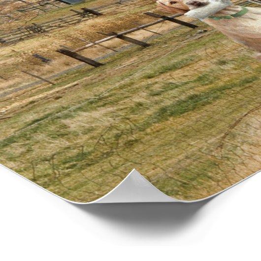 Leben Sie wie jemand, der das Tor geöffnet Verlass Poster (Ecke)